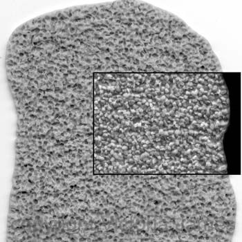 texture814