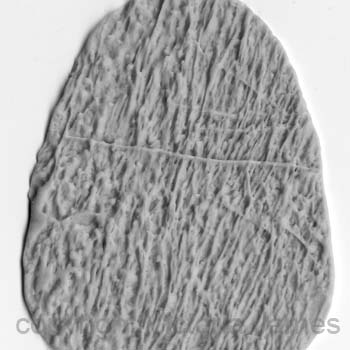 texture911